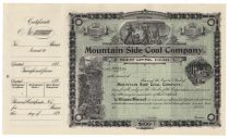 Mountain Side Coal Company