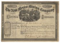 New Mexico Mining Company