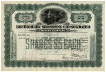 Montgomery Shoshone Consolidated Mining Company