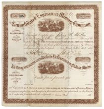 Consolidated Esperanza Mining Company