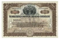 Tuolumne Copper Mining Company