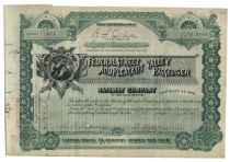 Federal Street & Pleasant Valley Passenger Railway Co.