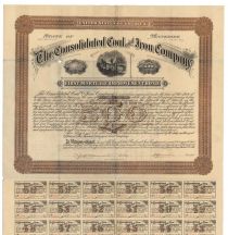 The Consolidated Coal And Iron Company
