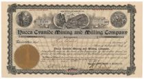 Yucca Cyanide Mining And Milling Co.