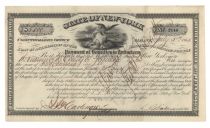 NY Loan In Anticipation Of The State Tax To Provide For The Payment Of Bounties To Volunteers
