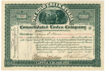 The Cold Creek, Nevada Townsite Company