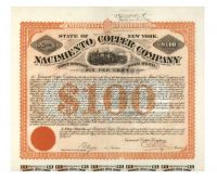 Nacimiento Copper Company
