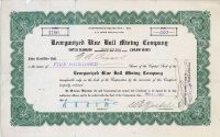 Reorganized Blue Bull Mining Company