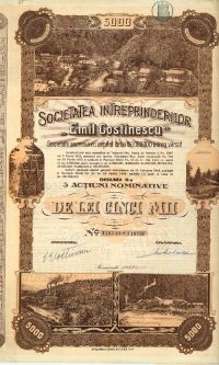 SOCIETATEA INTREPRINDERILOR 'EMIL COSTINESCU' S.A.